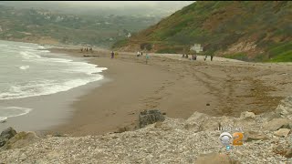Body Of Missing Swimmer Found Off Rancho Palos Verdes