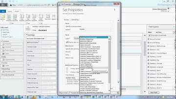 How to Add a Sub grid to a From in CRM 2013