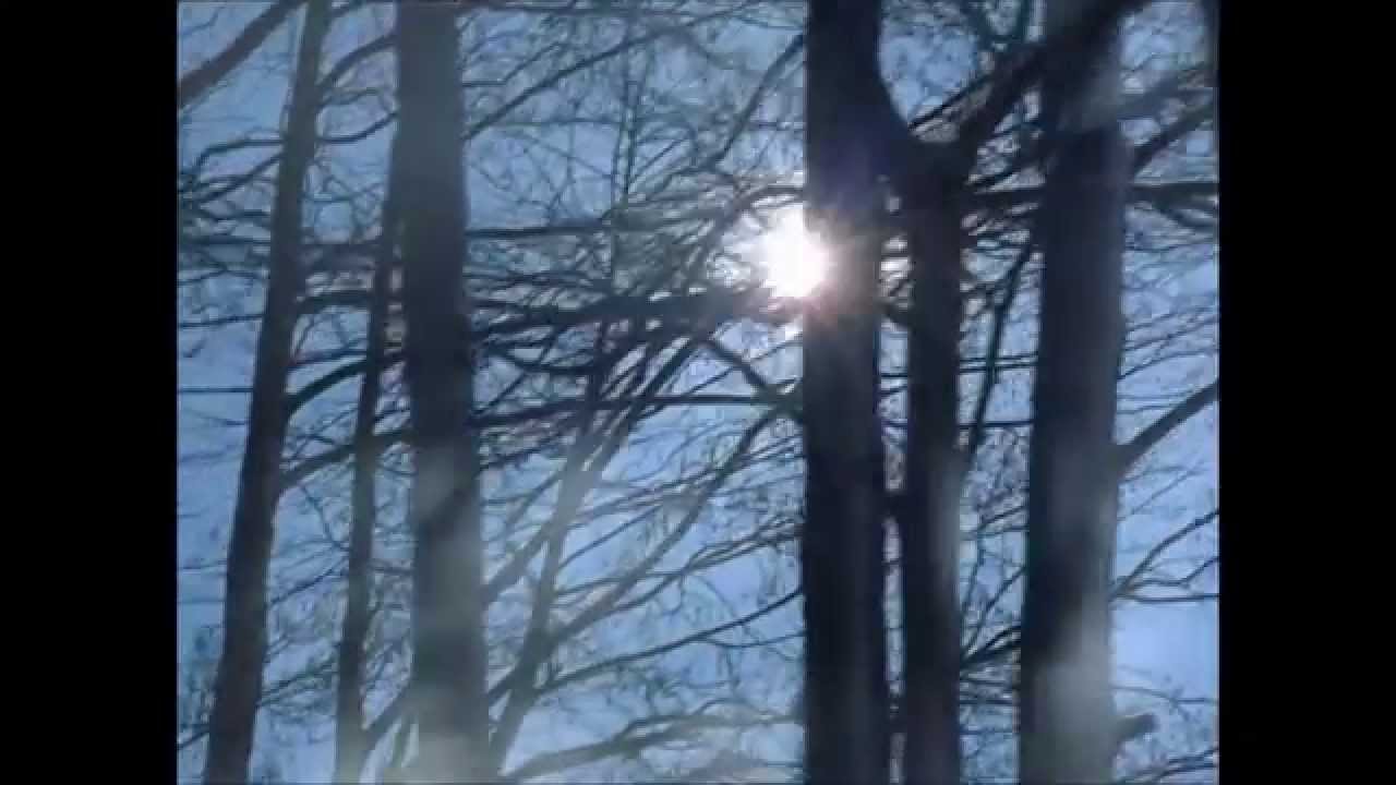 Диана Арбенина - Брамс (Мальчик на шаре, 2014) неофициальное видео