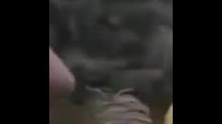 Hj Rhoma Serang