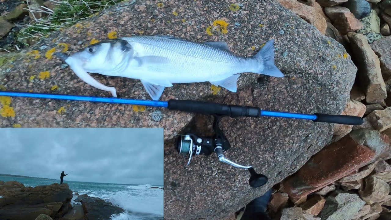 ONE FISHERMAN HUGE SWELL! BASS LURE FISHING