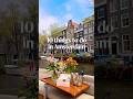 🇳🇱 10 things to do in Amsterdam #amsterdam #amsterdamtravel #amsterdameats #netherlandstravel