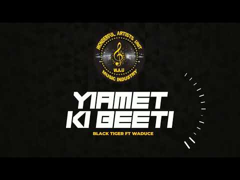 BLACK TIGER FT WADUCE YIAMET KI BEETI