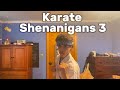 Karate Shenanigans 3