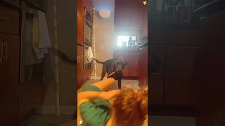 Pretend to faint and see my dog’s reaction 🐶 #youtubeshorts #funny #dog #reaction #faint