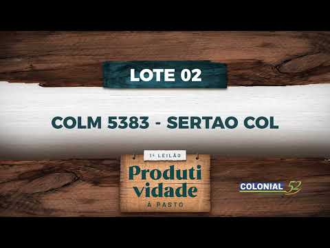 LOTE 02   COLM 5383