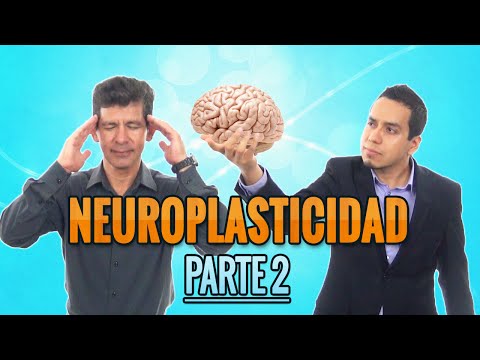 Neuroplasticidad Aplicada a Tu Crecimiento Personal y Tu Éxito | Autoayuda y Autosuperación #134