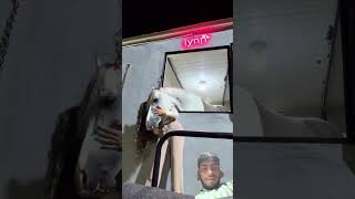 #horse #funny .xxxx video