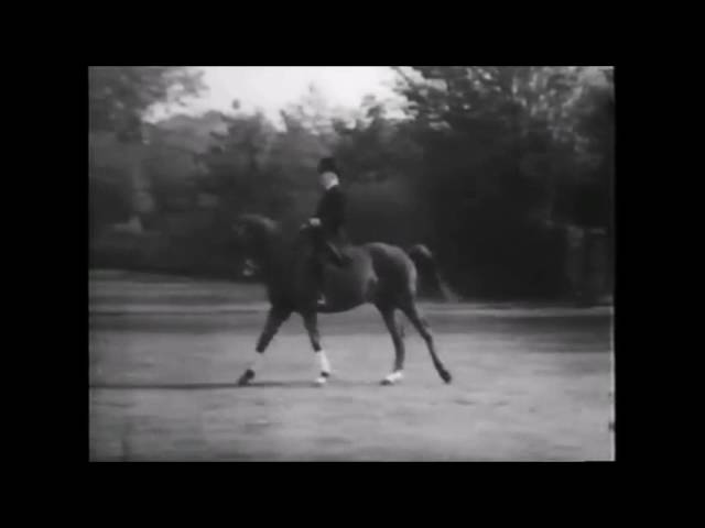 THE INCOMPERABLE OM STENSBECK