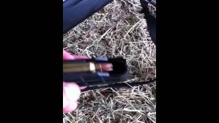 Tikka t3 lite 22/250 screenshot 4