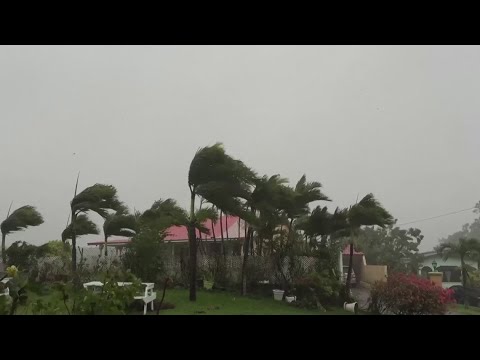 Hurricane Beryl flattening