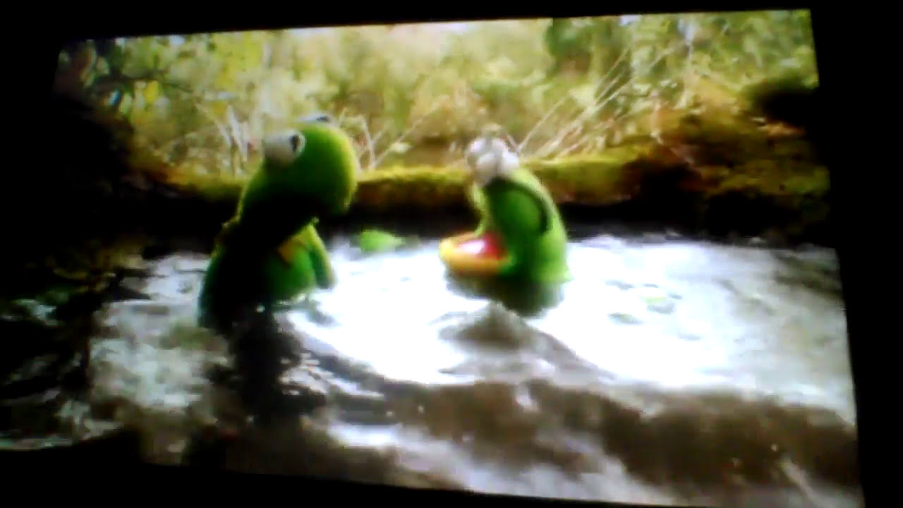 kermit's swamp years kermit - YouTube