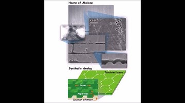 Bioinspired Design of Materials