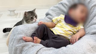 生まれて初めて赤ちゃんを見たら猫たちがまさかのこうなりました…