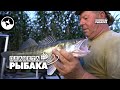 Судак на тюкалку. Рыбалка в Астрахани | Планета рыбака