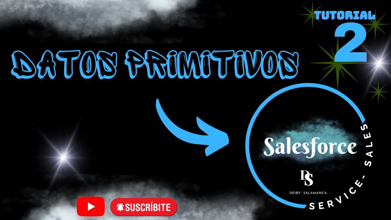 Datos Primitivos Salesforce , tutorial 2 de Programación para ...