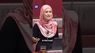 Why is Italian brainrot in federal parliament? | 9 News Australia