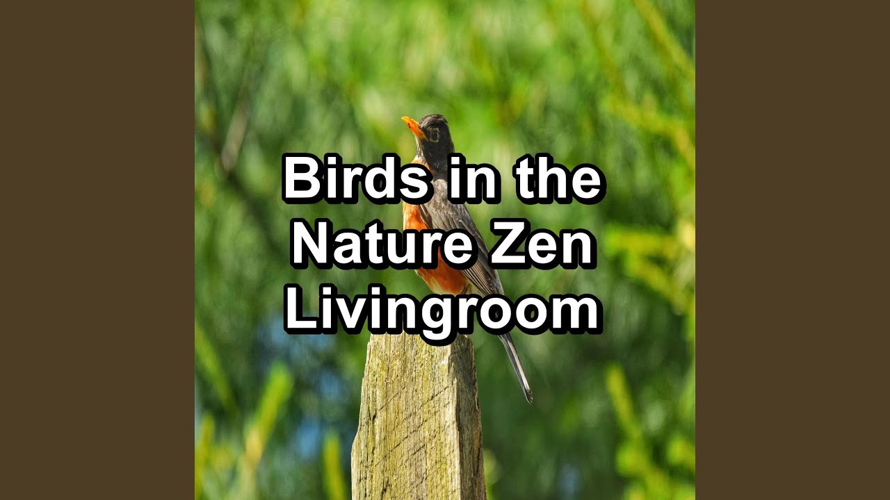 play sounds of nature music play sounds of nature music