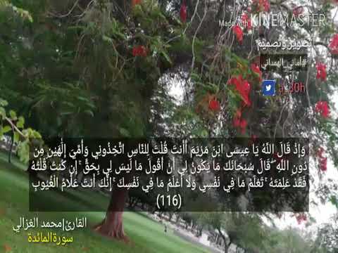 آيات بينات من سورة المائدة بصوت الشيخ محمد الغزالي