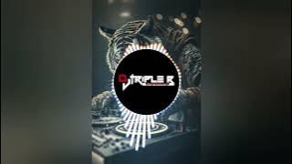 INSTAGRAM TRENDING PAYTM 50 PAISA PAISA CLUB REMIX DJ PNC & DJ TRIPLE R