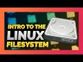 "Where's my C:\ Drive?" | The Linux File System Explained!