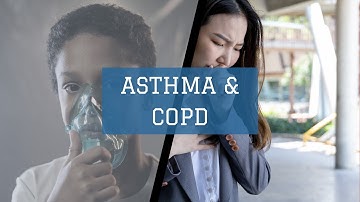 Asthma & COPD (USMLE)