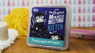 Miracle Melting Cat!