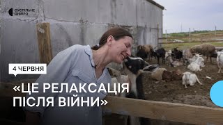 «Це наша з чоловіком мрія»: подружжя військових власноруч виготовляють сири