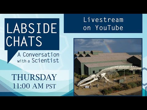 video:Labside Chats: A Conversation with a Scientist, featuring Michael Beck, Ph.D.