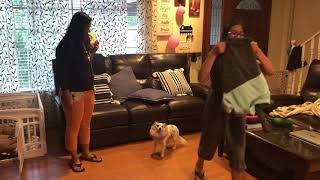 Im On A Sugar Rush - Nayraa