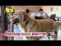 公共事務與治理