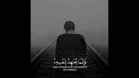 قرآن كريم بصوت القارئ عبد الرحمن مسعد تلاوة مؤثر ارح قلبك 💚🌿حالة واتس إسلامية /استوري انستغرام