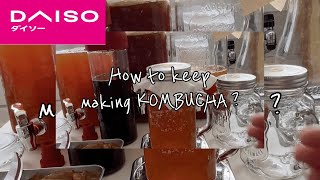 【DAISOさんオススメアイテム】で【痩せ菌を簡単に手作りし続ける方法】【ハイビスカスティーのアレンジ】【コンブチャを作り続ける】【暑い日でも少しのお湯でOK】【冷ます時間無し】