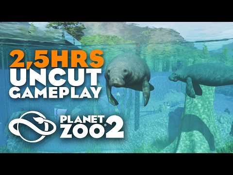 Snow Leopard Habitat, Multi Layer Aviaries and Exhibits: 2,5Hrs uncut Planet Zoo 2