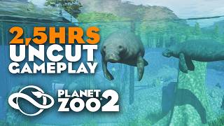 Snow Leopard Habitat, Multi Layer Aviaries and Exhibits: 2,5Hrs uncut Planet Zoo 2