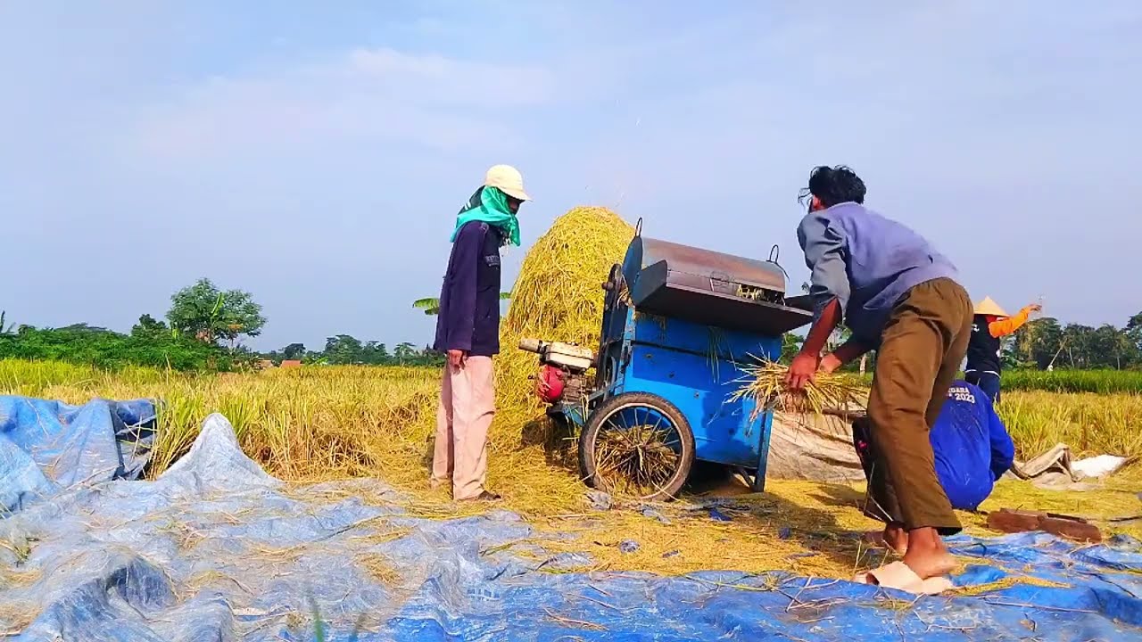 SUARA MERDU | BASS EMPUK BANGET | TARLING DANGDUT MERINDING DAN SYAHDU SUARA JERNIH