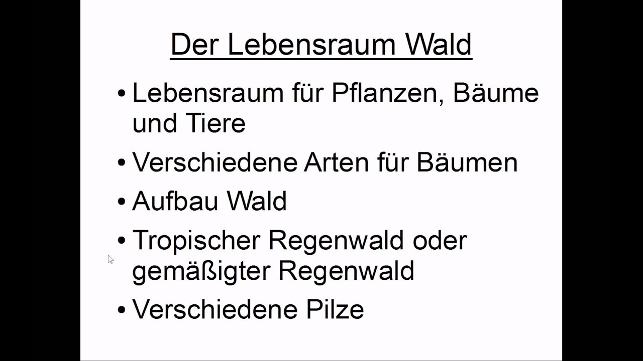 Lebensraum Wald Youtube