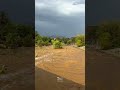 سيول هدادة نجران عصر اليوم الخميس ٢٣ أبريل ٢٠٢٦ م يالله بنو خيال
