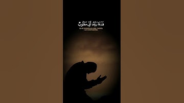 فدعا ربه إني مغلوب فانتصر  القارئ احمد النفيس