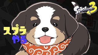 ブキ見る為に少しだけやる【スプラ配信】
