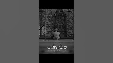 رعد الكردي تلاوة رائعة من سورة المنافقون (وانفقوا من ما رزقناكم من قبل ان ياتيكم ..)إدعمنا 👍🌺🔔