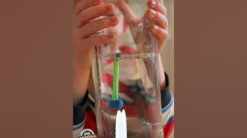 MLZS JHANSI CLASS 3 General Knowledge Do you Know Why and Measurements