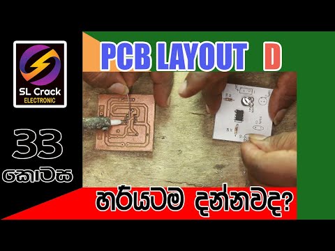 Video: PCB ni nini katika samaki?