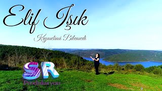 Elif Işık - Kıymetimi Bilemedi  Resimi