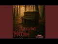 Shadows in Motion