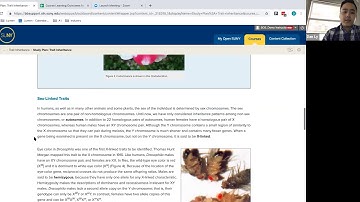 SUNY Ready to Adopt Courses   Waymaker for Biology