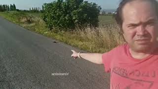 Szaszy Yalnızlığı