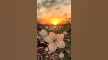 تلاوة خاشعة للقارئ  #محمدسيدعبدالعاطى #اكسبلور  #quran #راحة_نفسية #لايك #ترند #تيك_توك