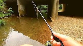 Ultralight Creek Fishing with TINY Crankbait