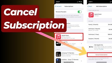 How to Easily Cancel Unwanted iPhone & iPad App Subscriptions in Minutes